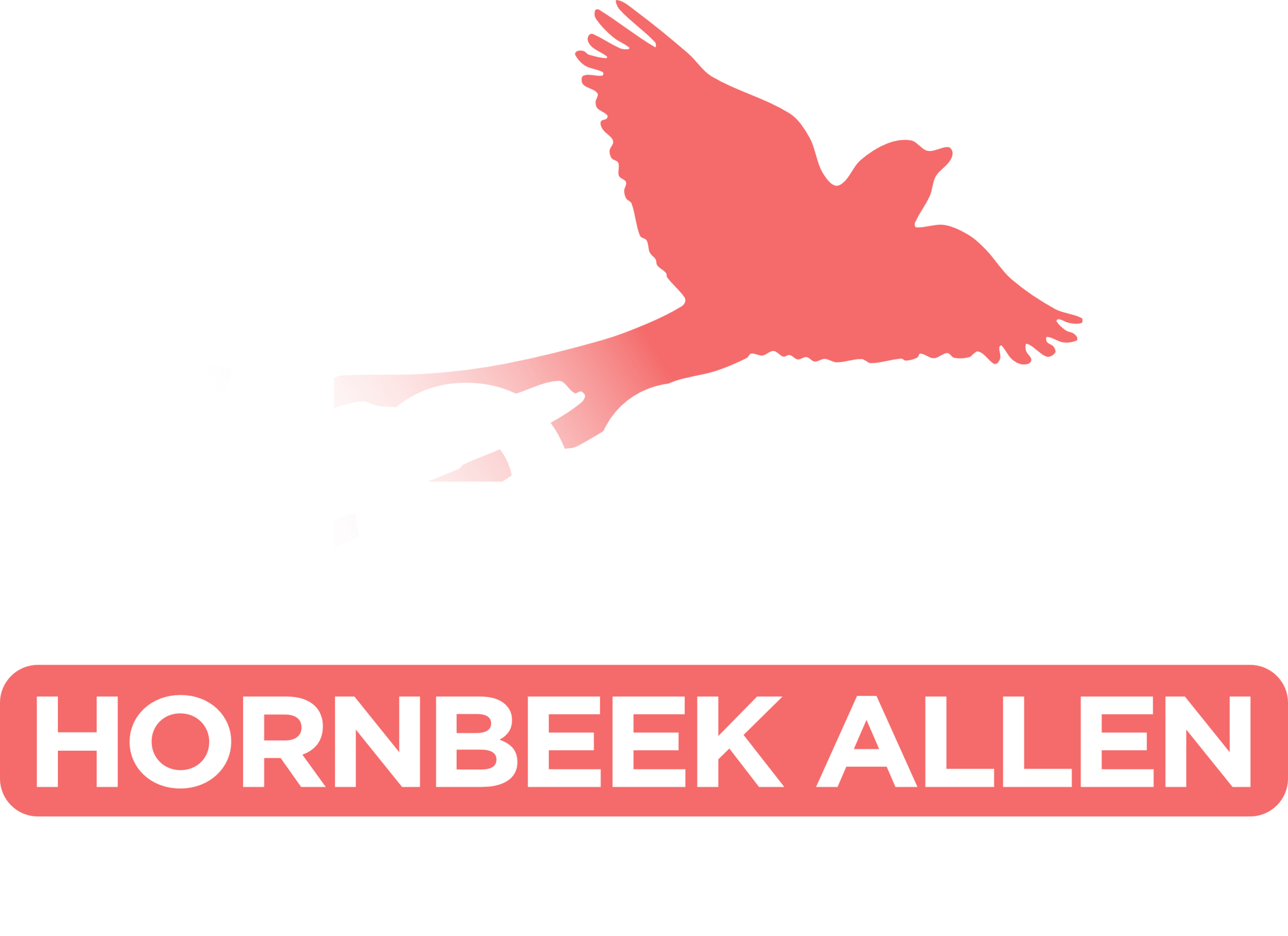 Megan's logo